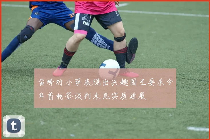 黄蜂对小萨表现出兴趣国王要求今年首轮签谈判未见实质进展