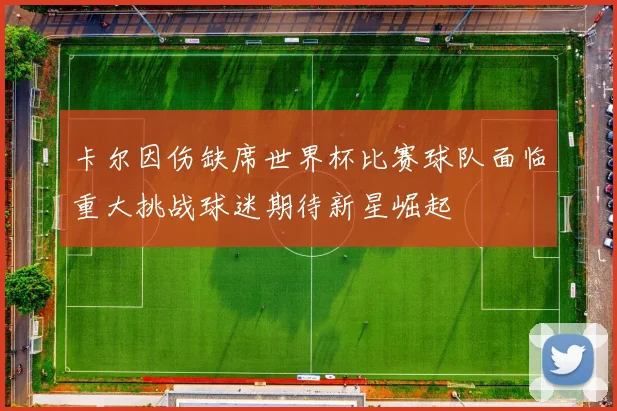 卡尔因伤缺席世界杯比赛球队面临重大挑战球迷期待新星崛起