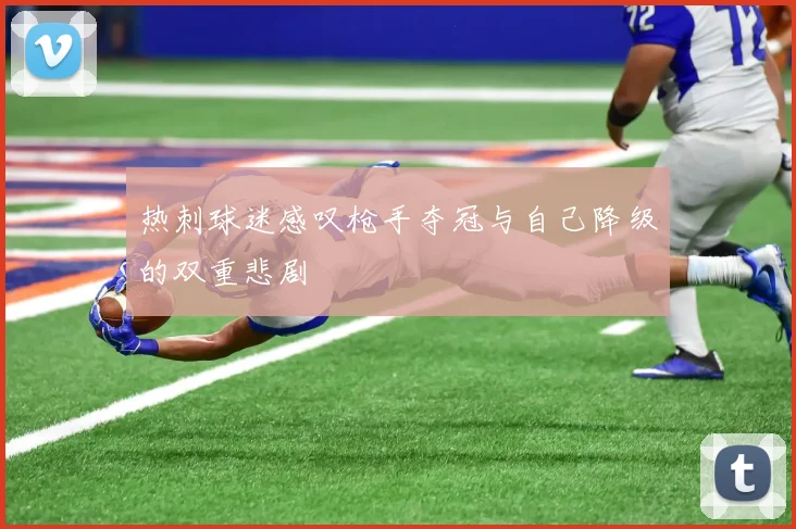 热刺球迷感叹枪手夺冠与自己降级的双重悲剧