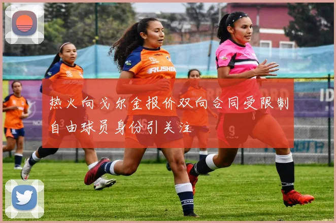 热火向戈尔金报价双向合同受限制自由球员身份引关注